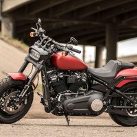 2019 Fat Bob Harley-Davidson Softail