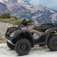 2019 Honda FourTrax Rincon Utility Quad Bike
