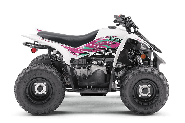 2019 Yamaha YFZ50 Sports ATV