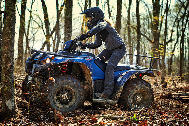 Yamaha 2019 Kodiak 450 EPS SE Utility ATV