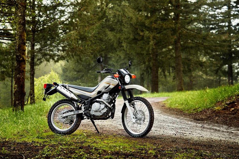 yamaha dual sport 2020