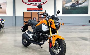 2019 Honda Grom MiniMoto Bike