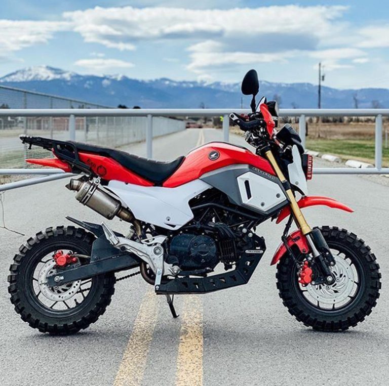 2020 Honda Grom MiniMoto Review Specs Price