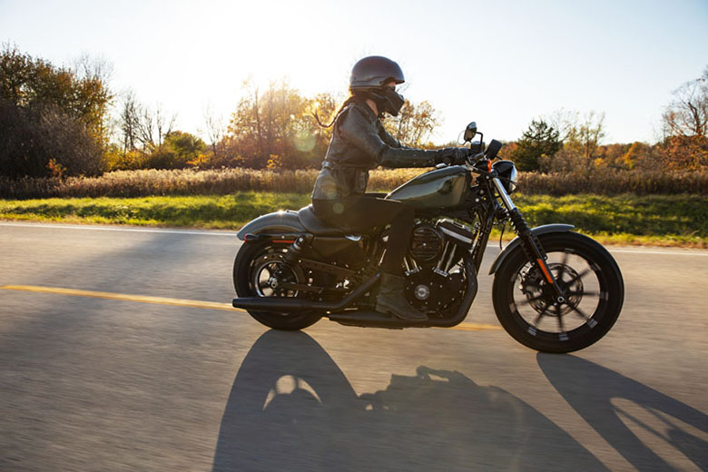 2021 Harley-Davidson Iron 883 Sportster
