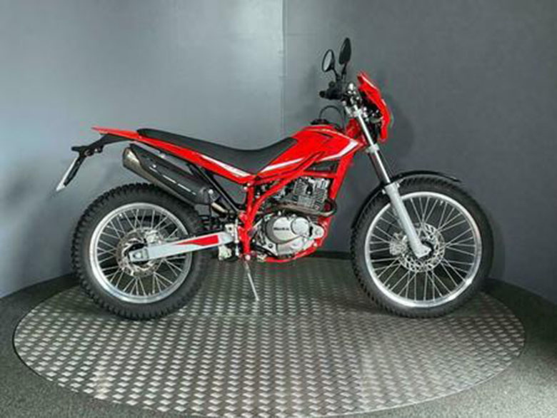 2020 Beta Alp 200 Dirt Motorcycle