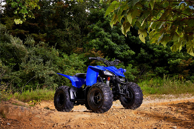 2022 YFZ50 Yamaha Sports ATV