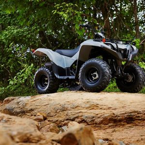 Grizzly 90 2022 Yamaha Utility ATV