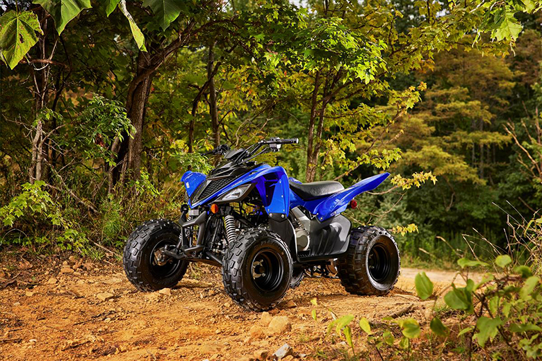 Raptor 90 2022 Yamaha Sports Quad Bike