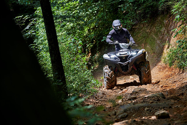 Grizzly EPS SE 2022 Yamaha Utility ATV