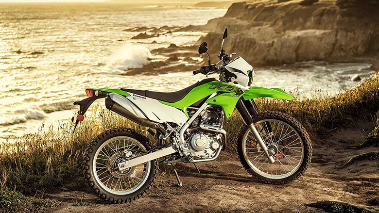 2020 Kawasaki KLX230 Dual Purpose Bike
