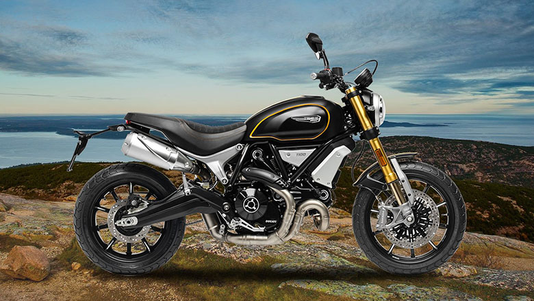 Ducati 2020 Scrambler 1100 Motorcycle