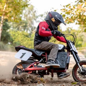 Indian eFTR Jr 2021 Electric Motorcycle