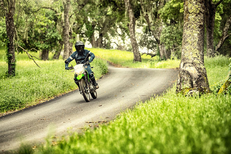 2021 Kawasaki KLX230 Dirt Bike