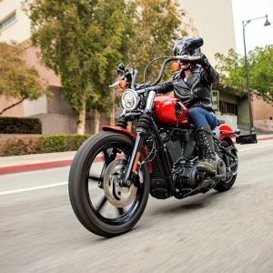 2022 Street Bob 114 Harley-Davidson Cruisers