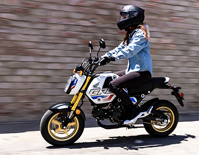 Top Ten Interesting Facts about Honda MiniMoto Bike