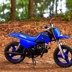 2023 Yamaha PW50 Dirt Motorcycle