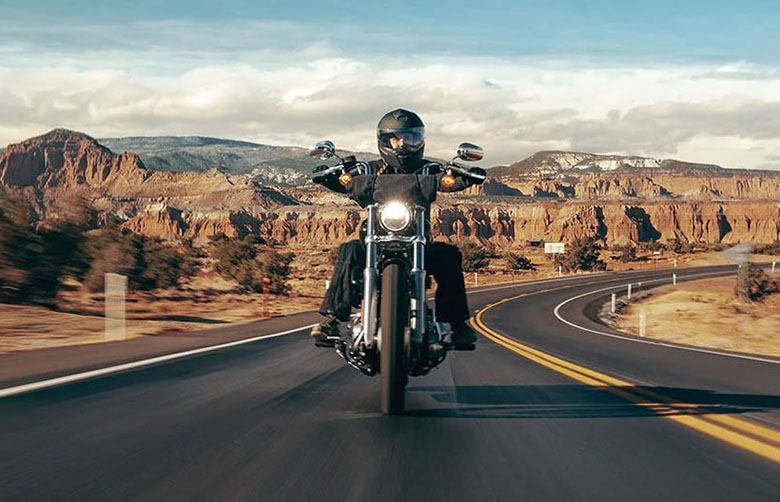 2023 Harley-Davidson Softail Standard Cruiser
