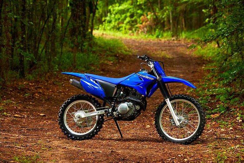 2023 Yamaha TT-R230 Dirt Motorcycle