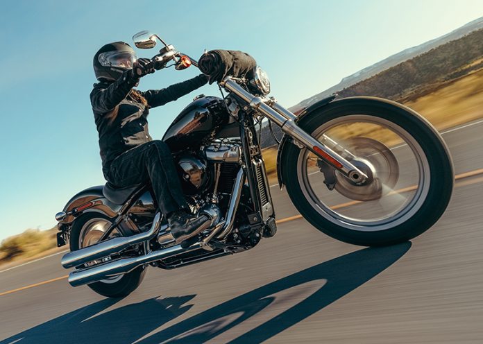 2024 Harley-Davidson Softail Standard Cruisers