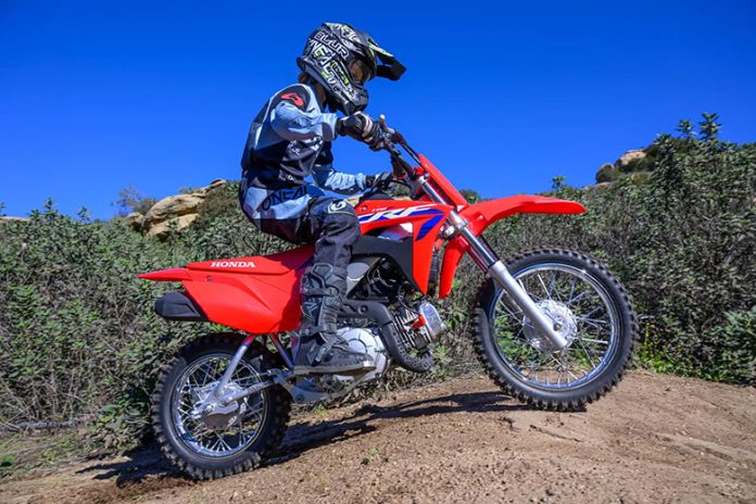 2024 Honda CRF110F Dirt Motorcycle