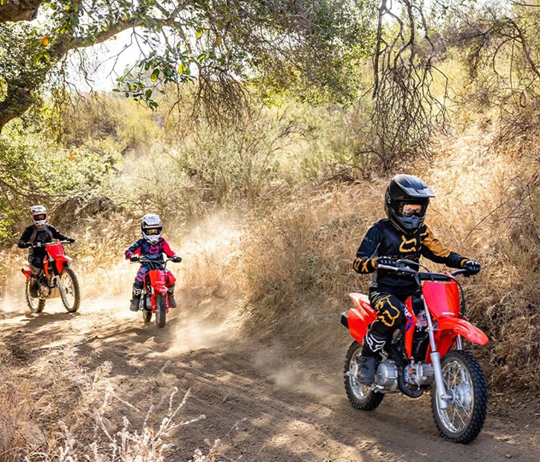 2024 Honda CRF110F Dirt Motorcycle